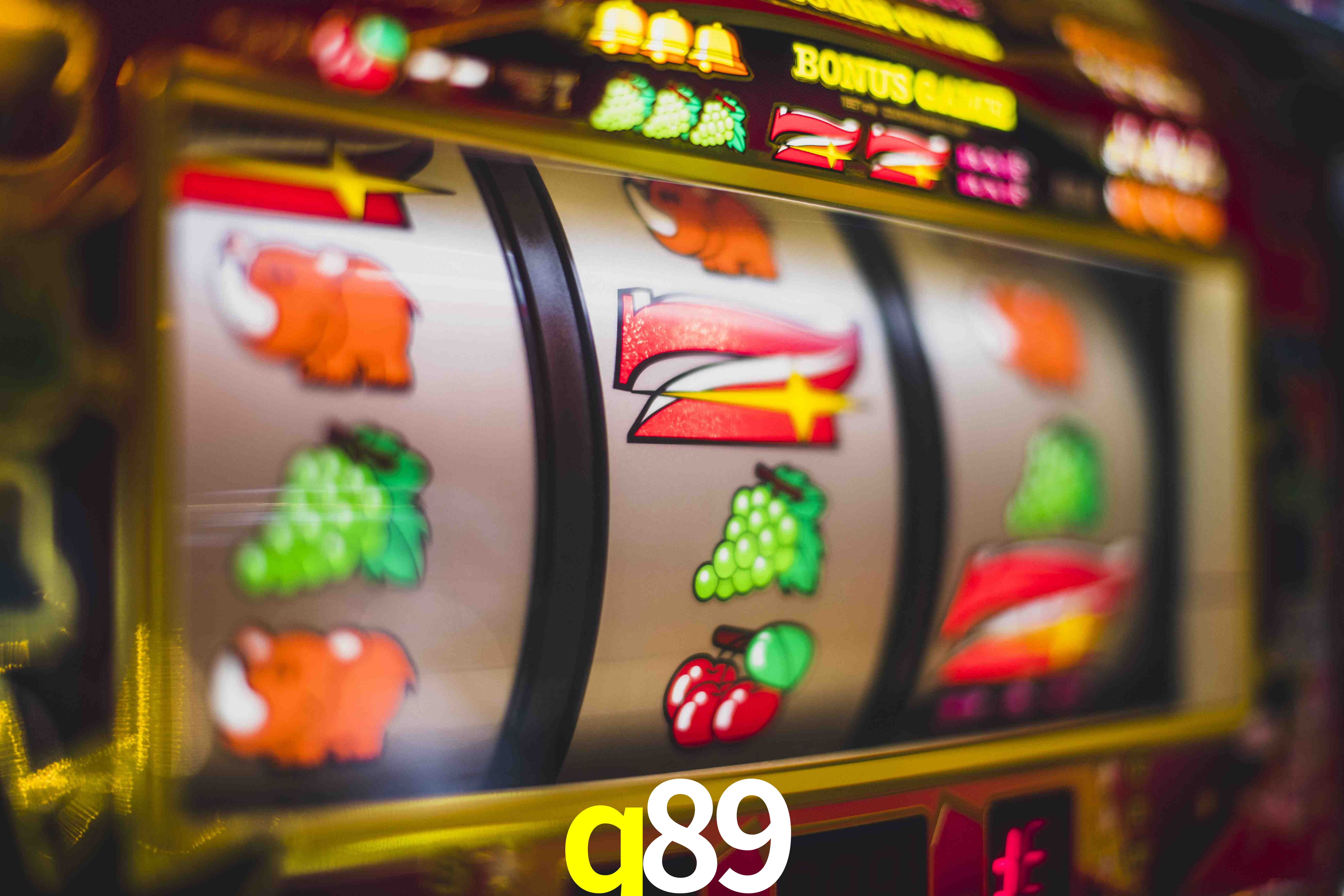 Experiência VIP q89